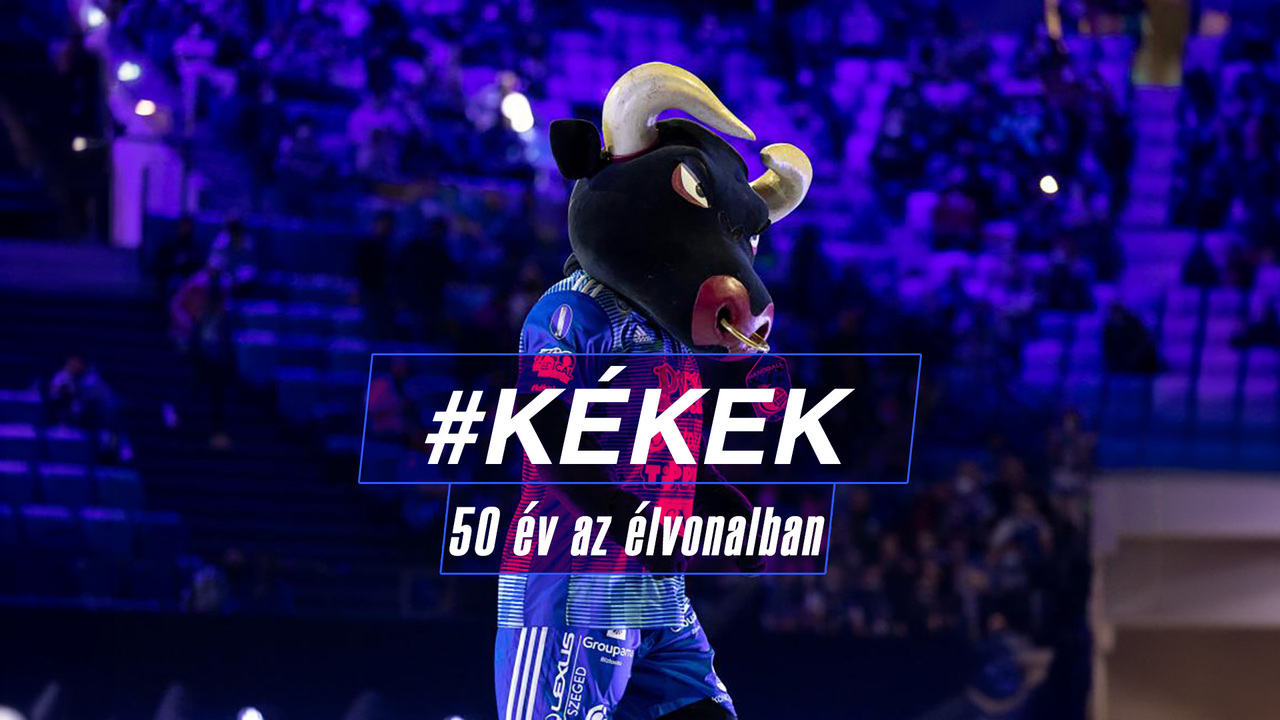 50 év az élvonalban