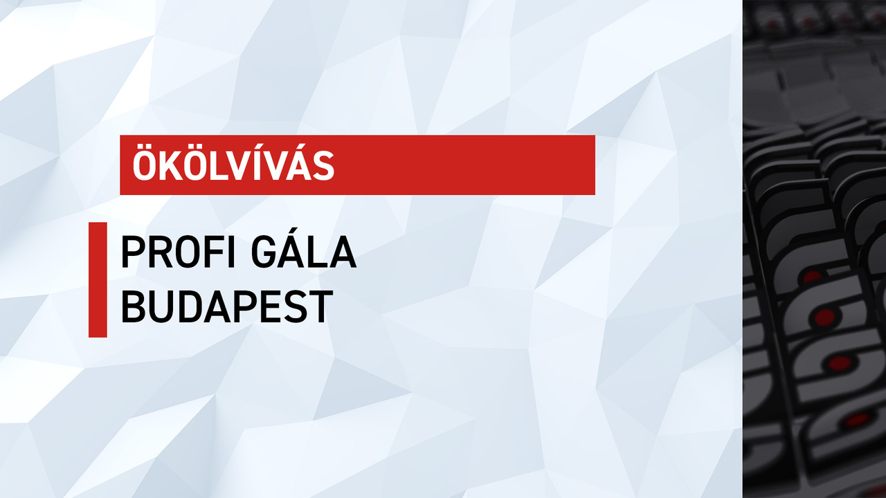 Ökölvívás, profi gála, Budapest