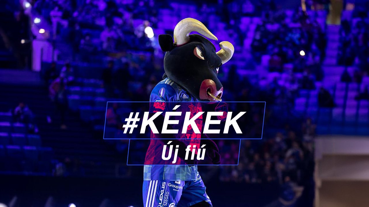 Új fiú