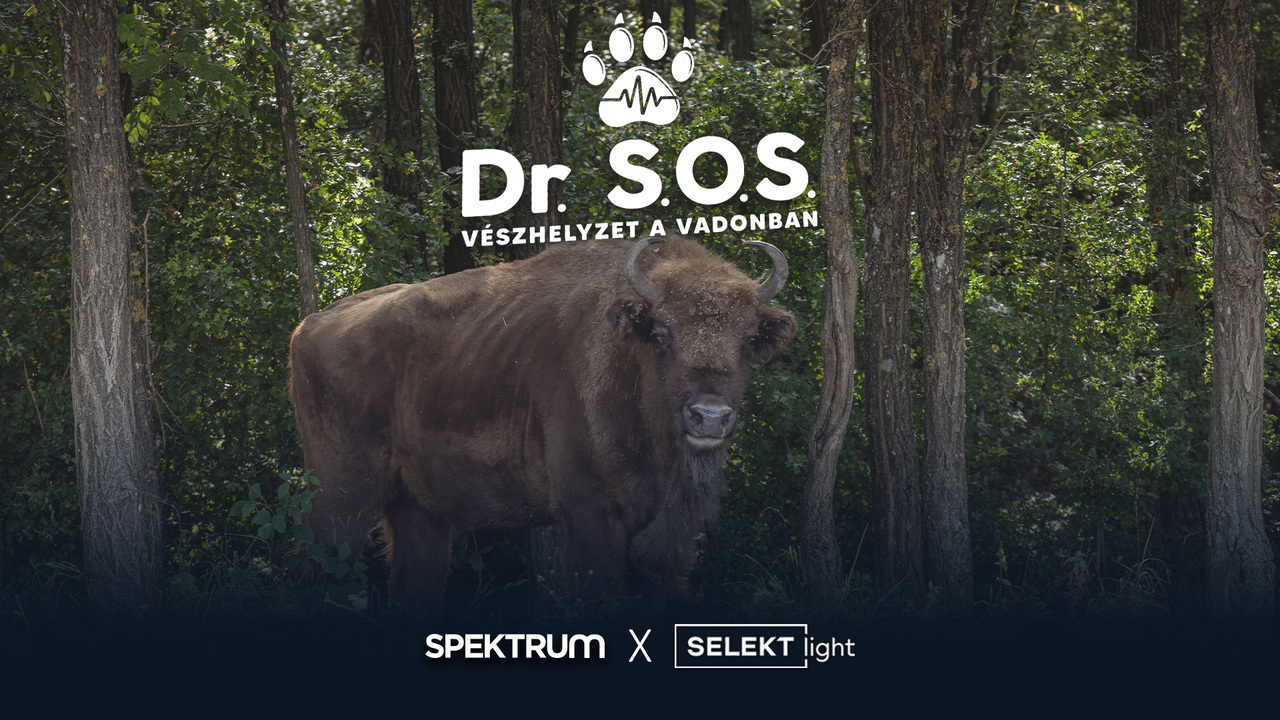 Dr. S.O.S. – Vészhelyzet a vadonban