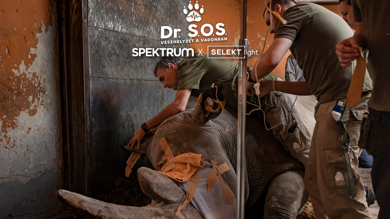 Dr. S.O.S. – Vészhelyzet a vadonban