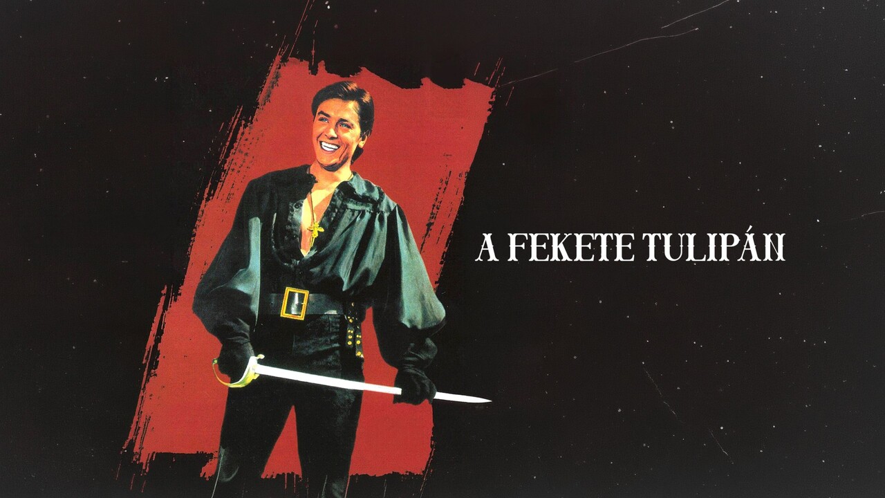 Fekete tulipán