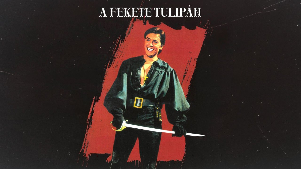 Fekete tulipán