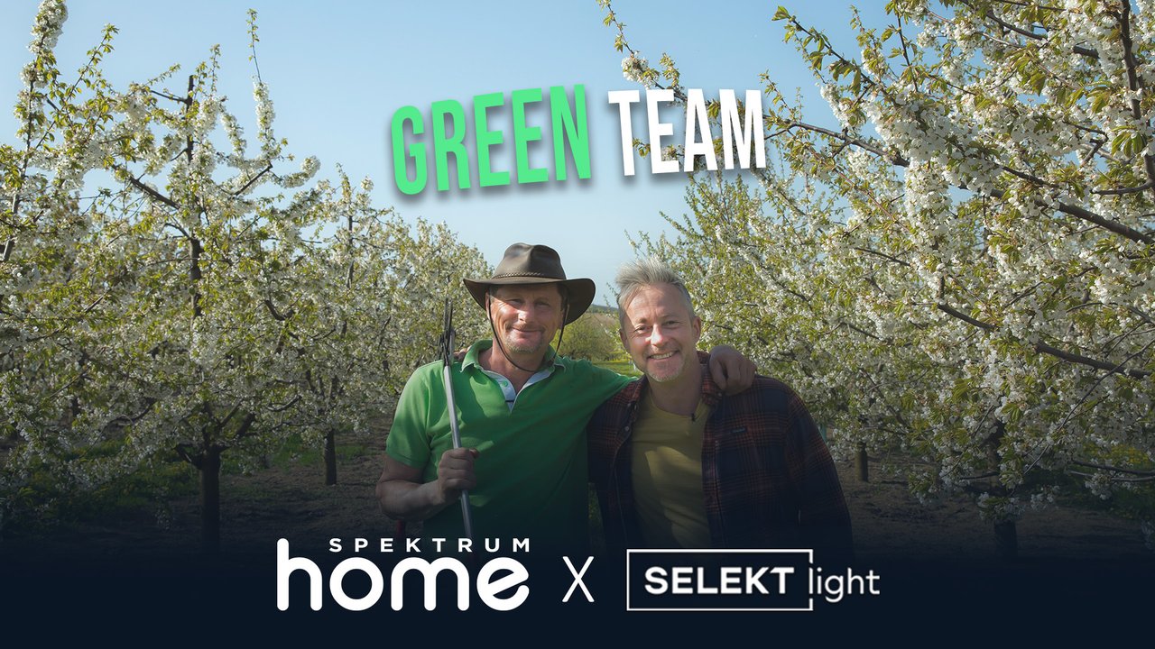 Green Team