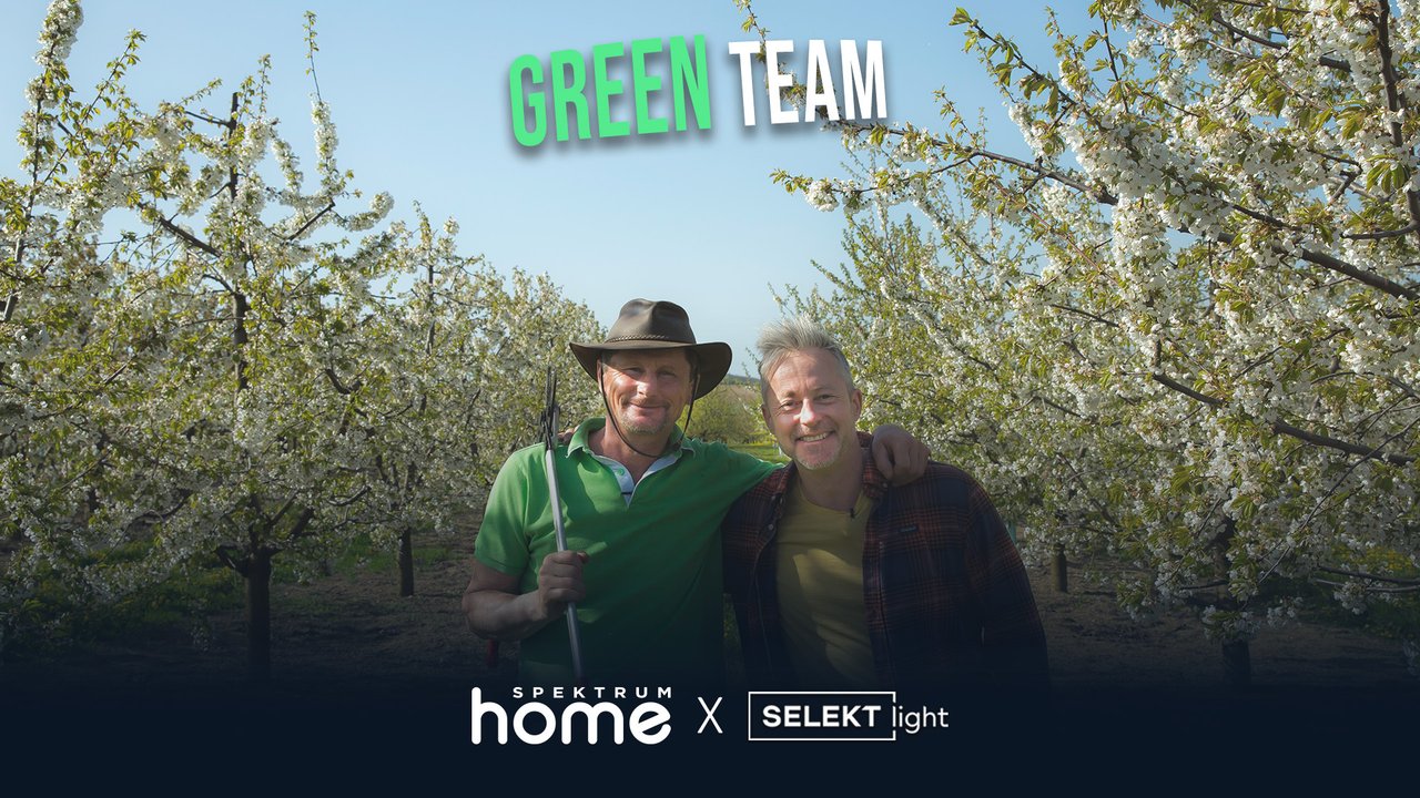 Green Team