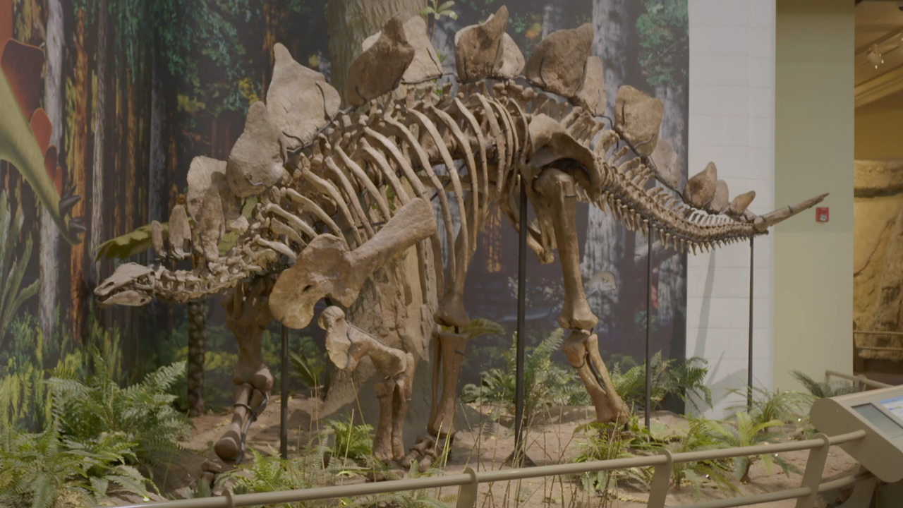 Dinoszauruszok völgye