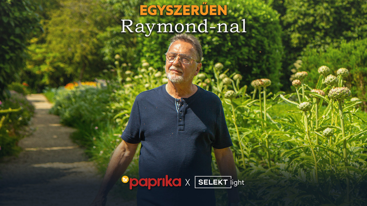 Egyszerűen Raymonddal