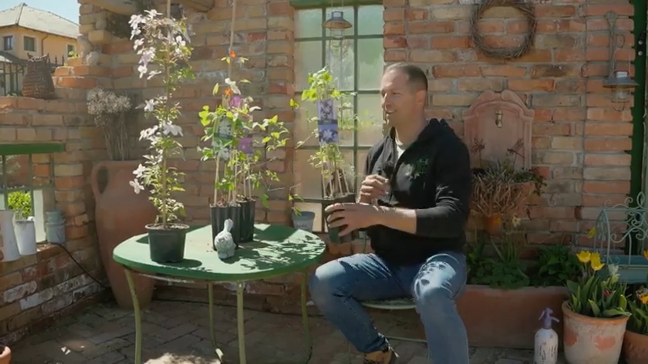 Élet a kertben és a konyhában