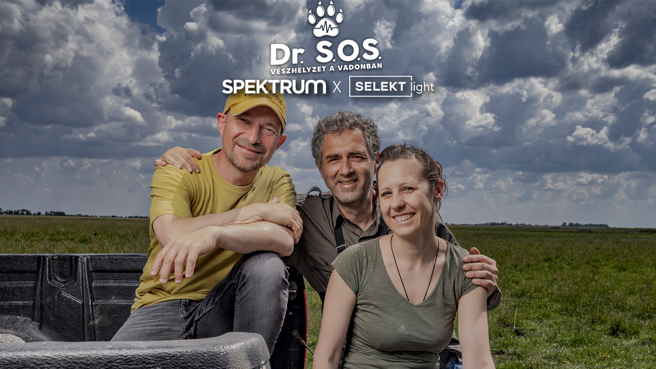 Dr. S.O.S. – Vészhelyzet a vadonban