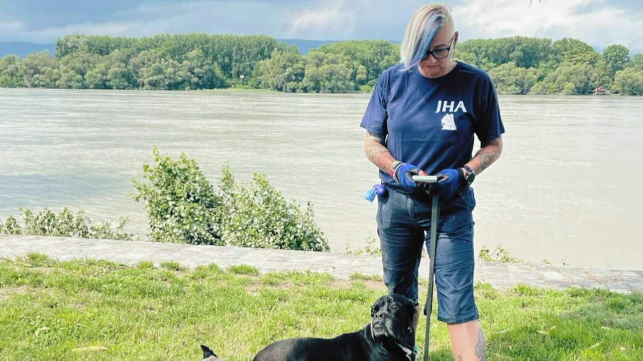 BRFK - Bűnügyi Technikai Osztály