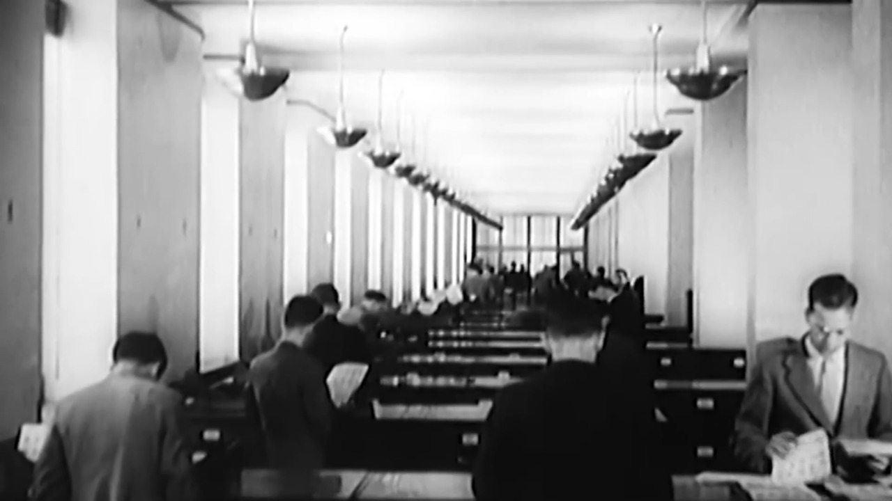 Sztálin kutyákból álló serege