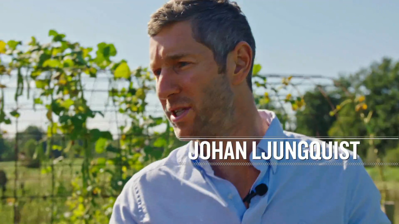 Lolland és Falster Dániában