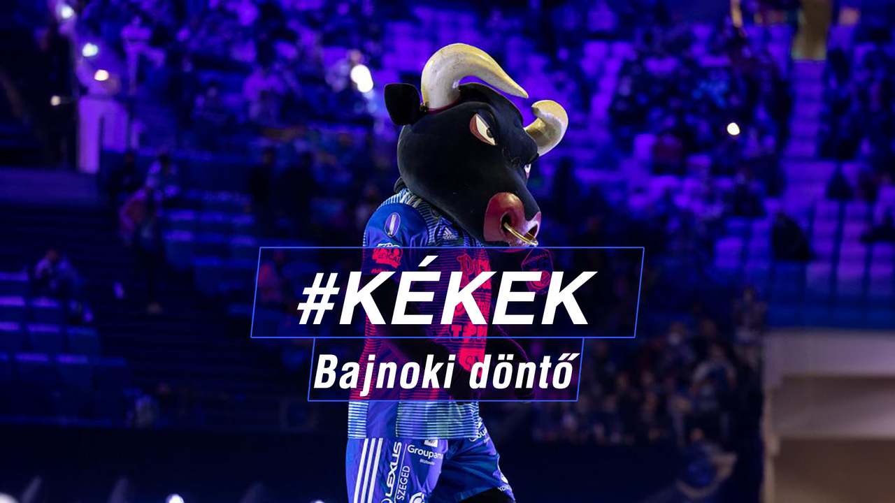 Bajnoki döntő