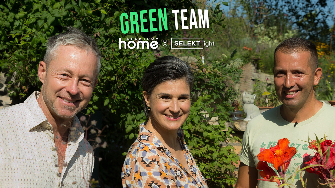 Green Team - Cserjék
