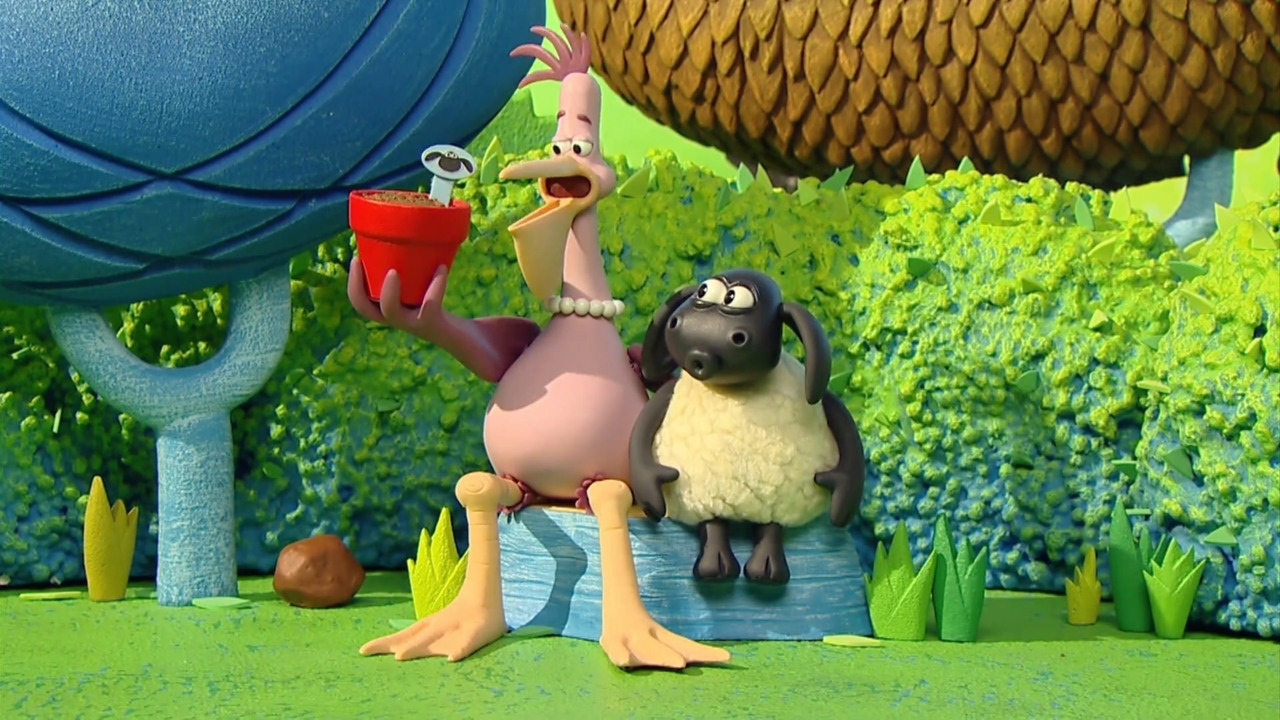 Timmy tavaszi meglepetése