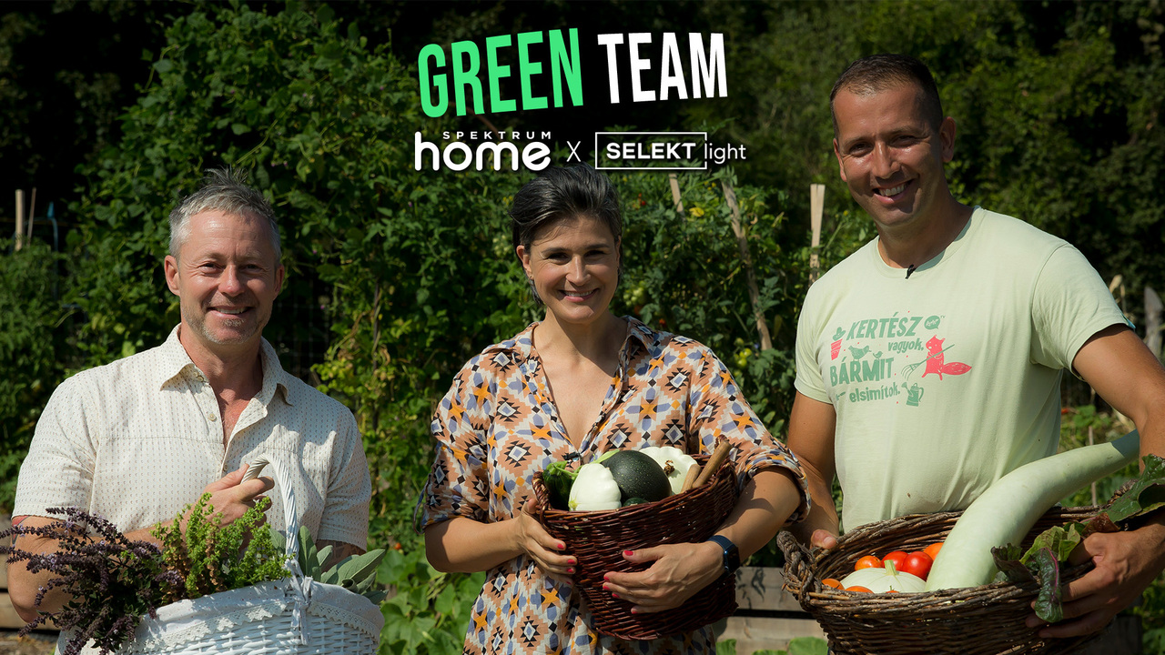 Green Team - Konyhakert betakarítása