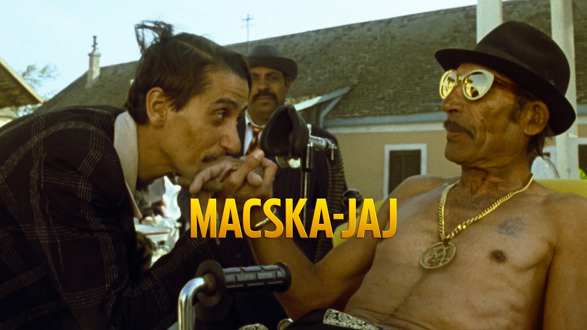 Macska-jaj