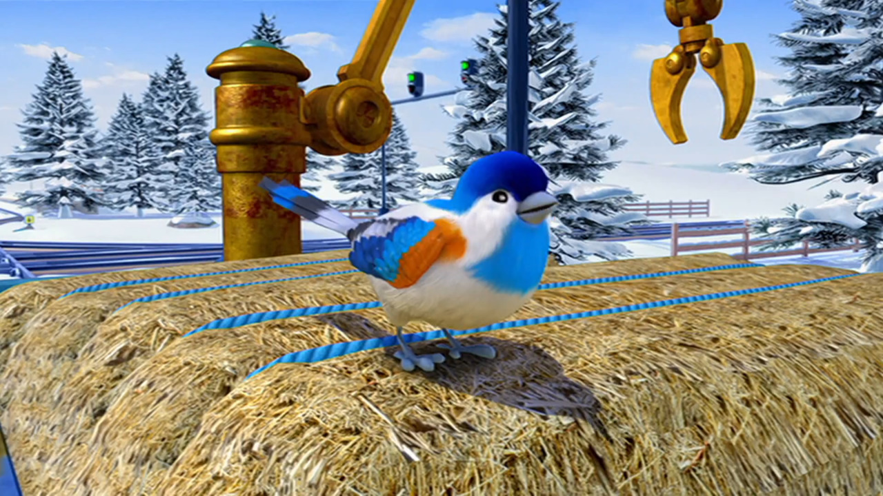 Wilson, a madáretető