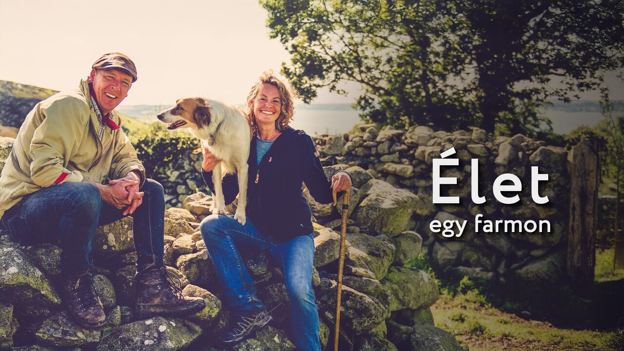 Élet egy farmon