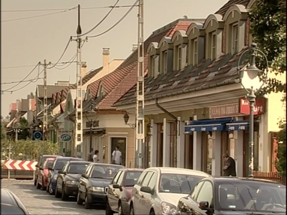 1981