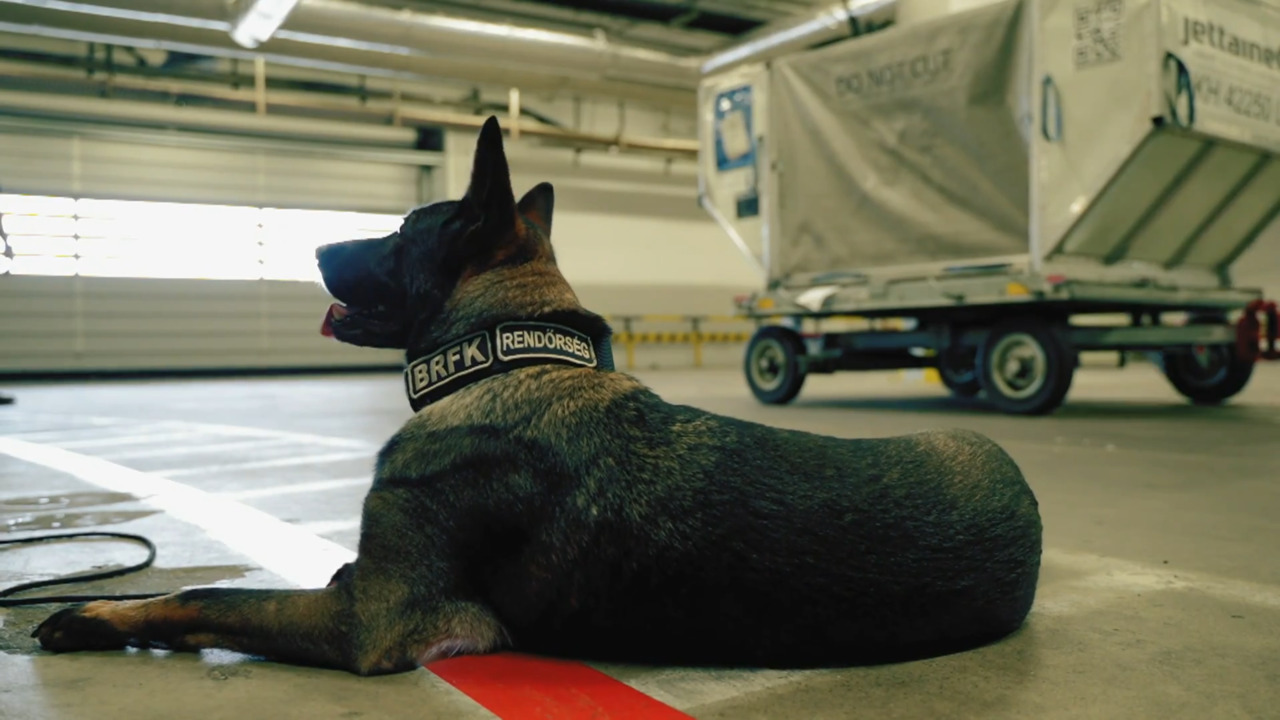 BRFK - Bűnügyi Kutyavezetői Alosztály