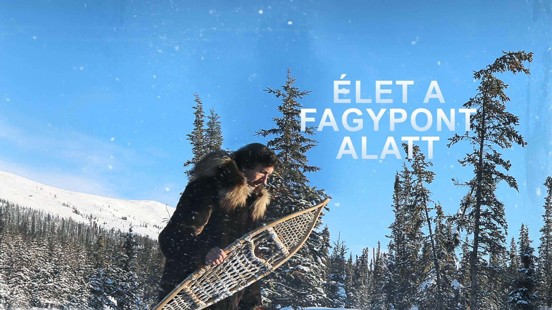 Élet a fagypont alatt