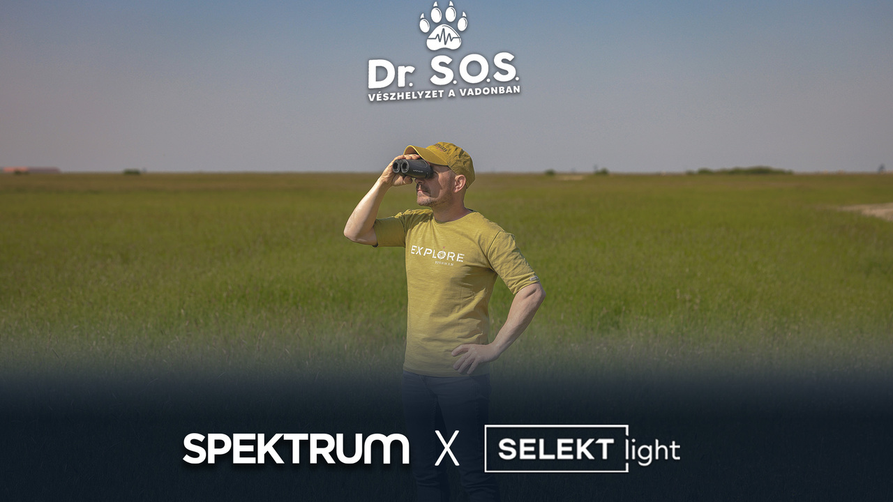 Dr. S.O.S. – Vészhelyzet a vadonban