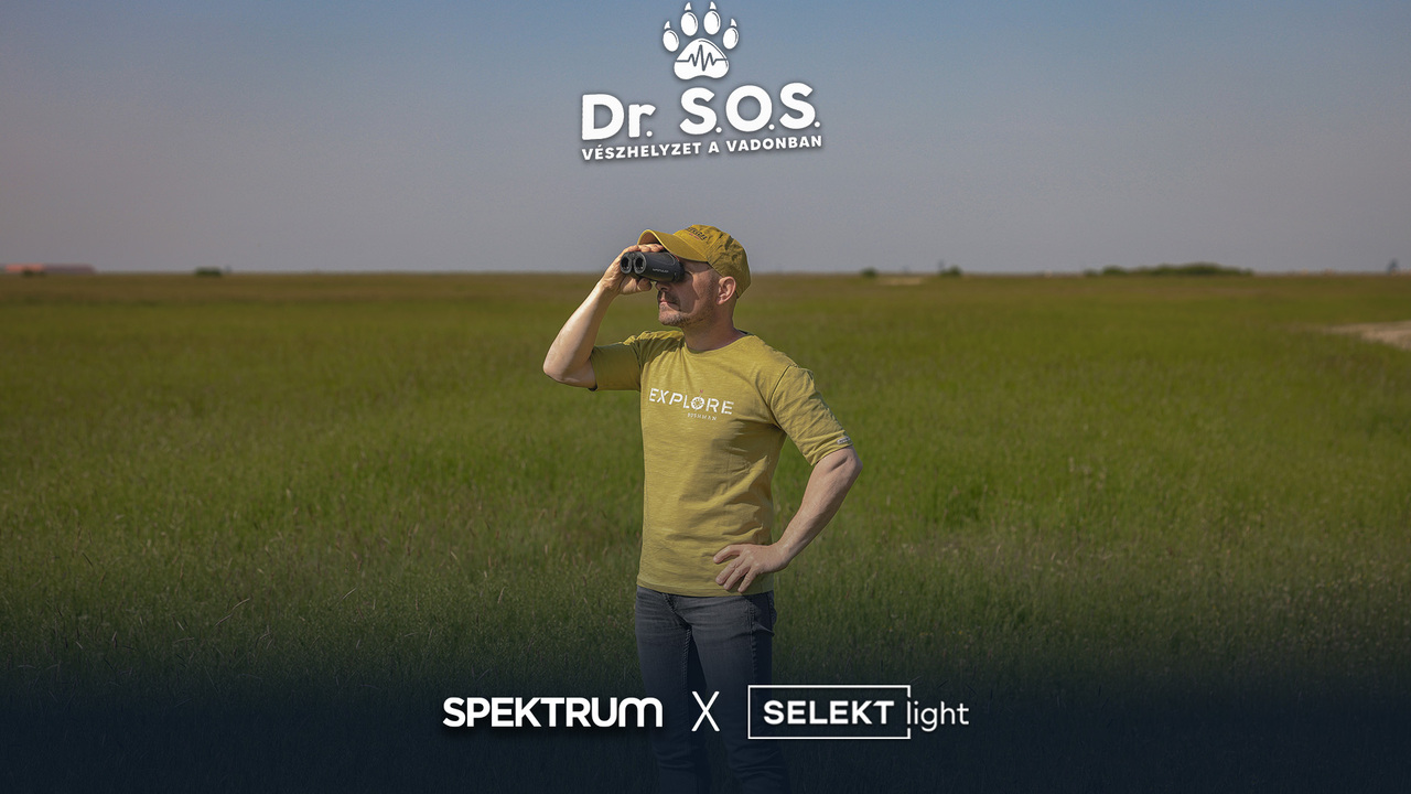 Dr. S.O.S. – Vészhelyzet a vadonban