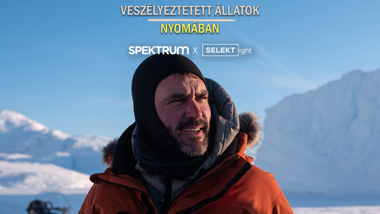 Veszélyeztetett állatok nyomában