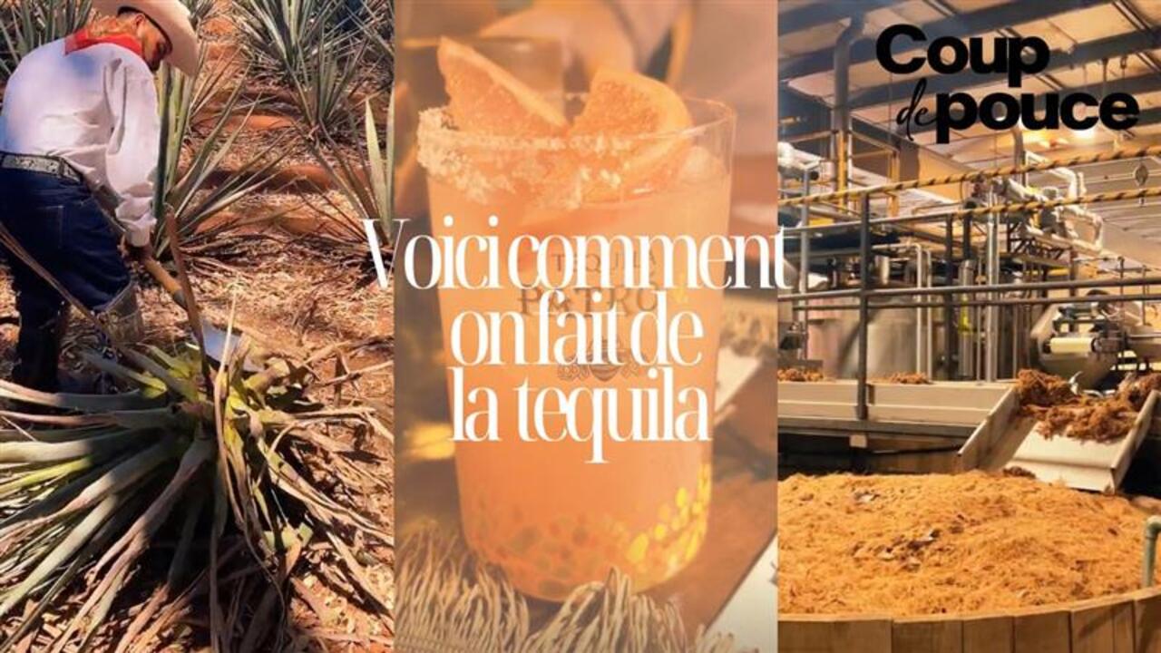 [VIDÉO] Voici comment on fait de la tequila