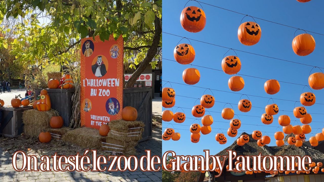 [VIDÉO] On a testé le zoo de Granby à l'Halloween