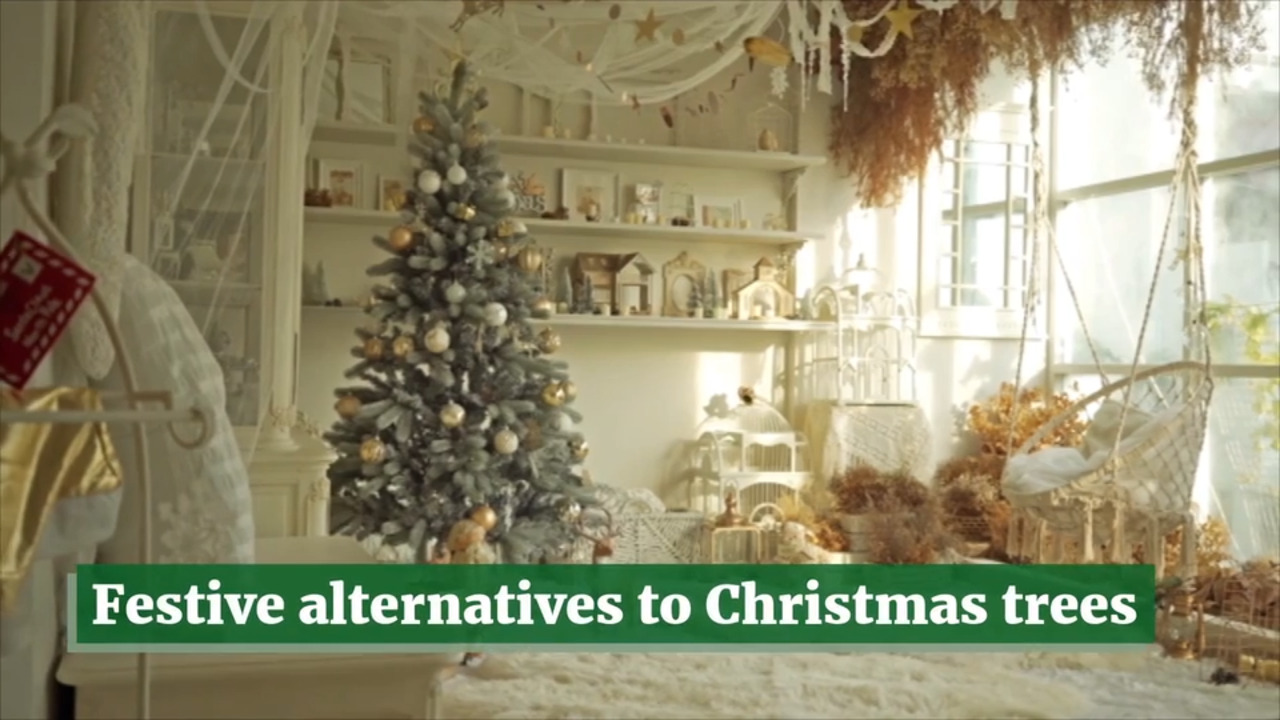Festive alternatives to Christmas trees