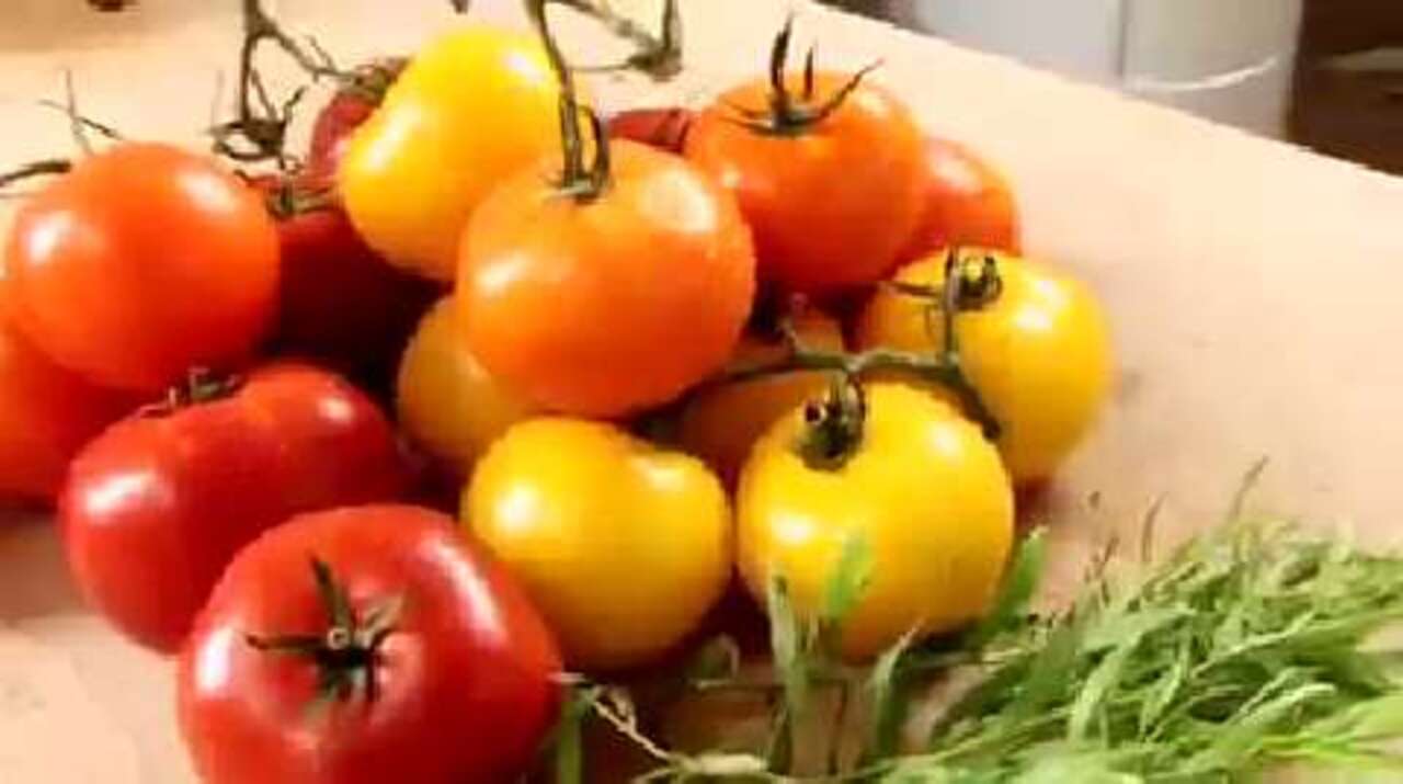 Salade de tomates à l’estragon