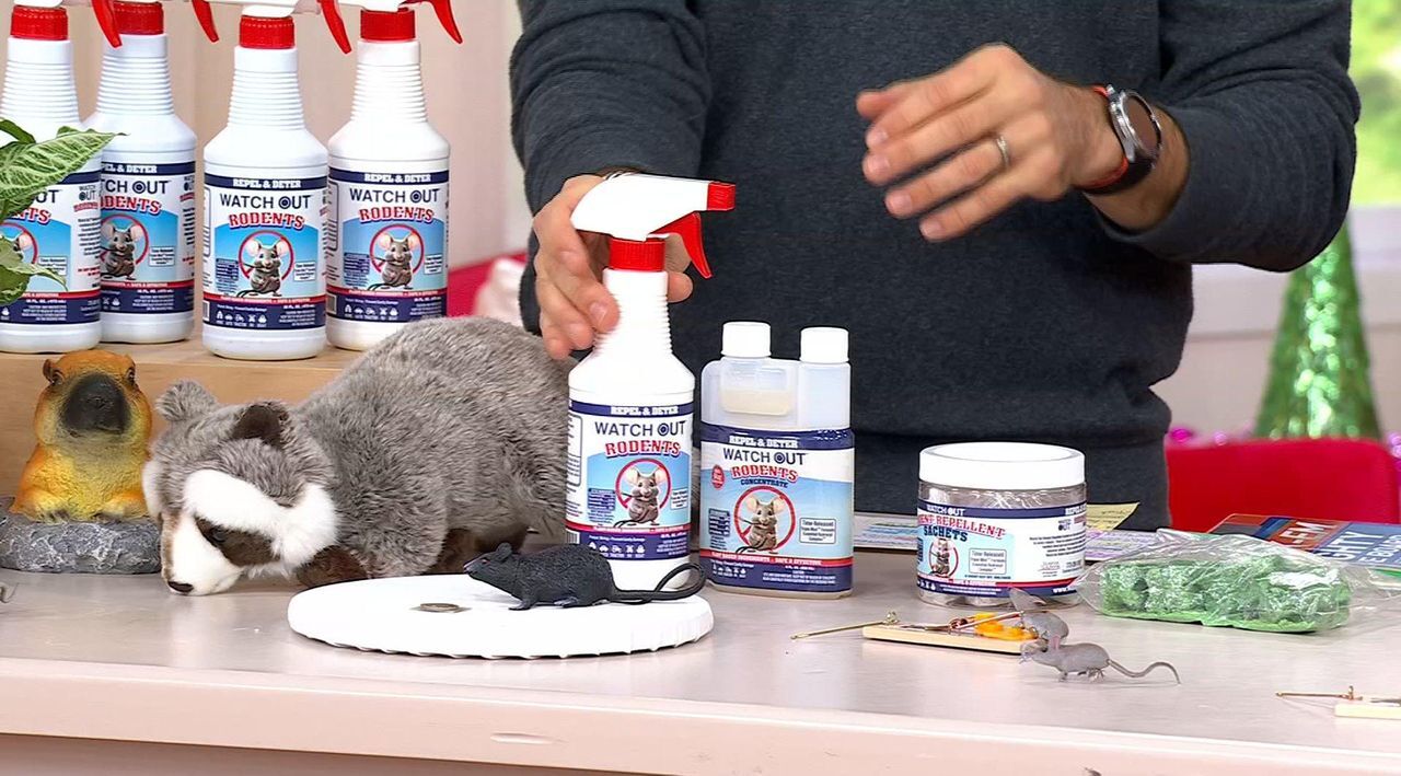 Watch Out 8-piece Rodent Kit | HSN