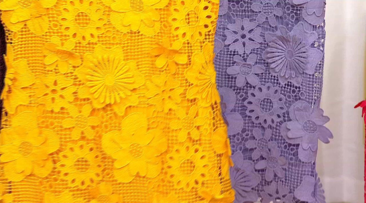 Nina Leonard 3D Floral Embroidered Crochet Dress | HSN