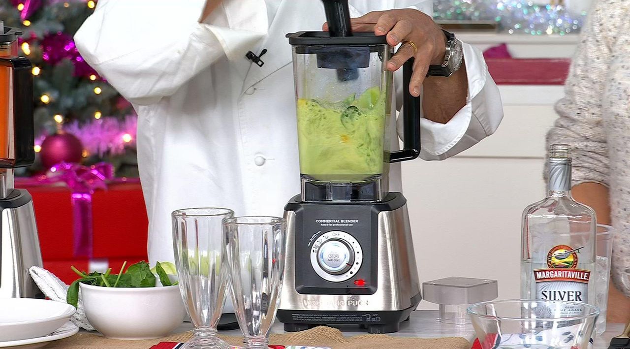 Wolfgang Puck Commercial Blender | HSN