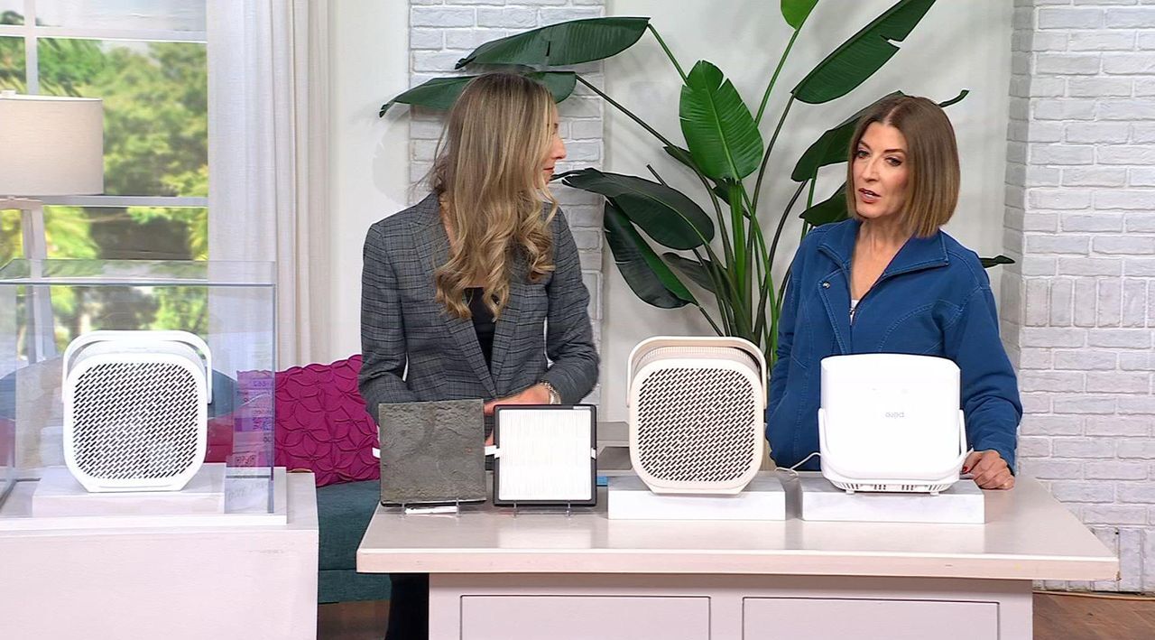 Pure Enrichment PureZone Duo True HEPA Air Purifier | HSN