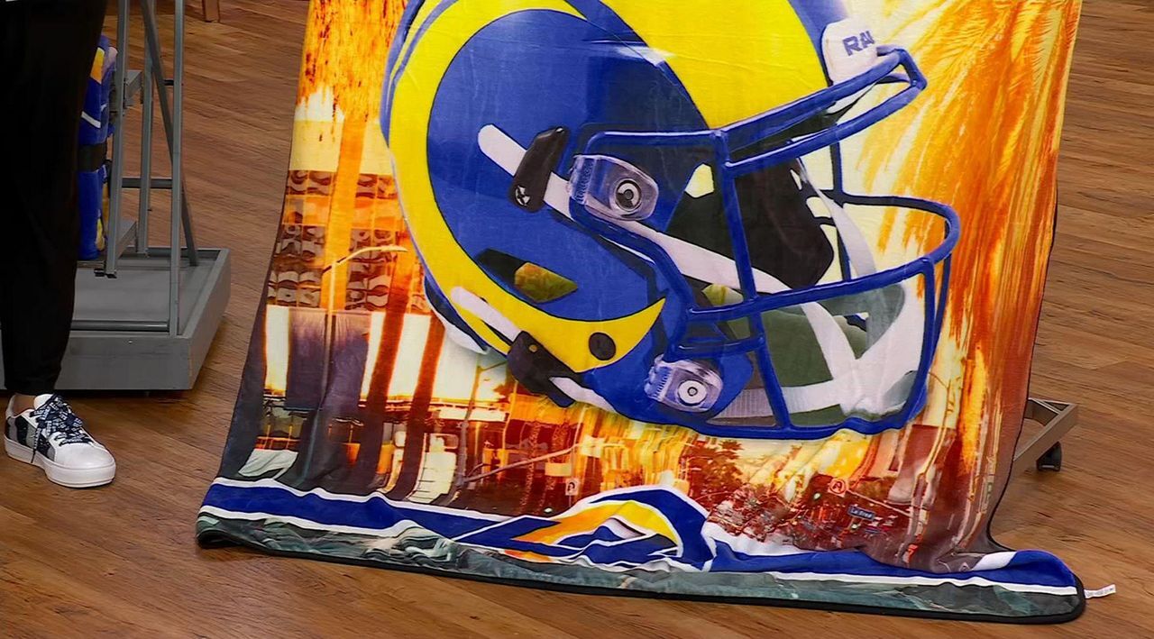 Officially Licensed NFL Skyline FAN-mily Throw by Pegasus Sports