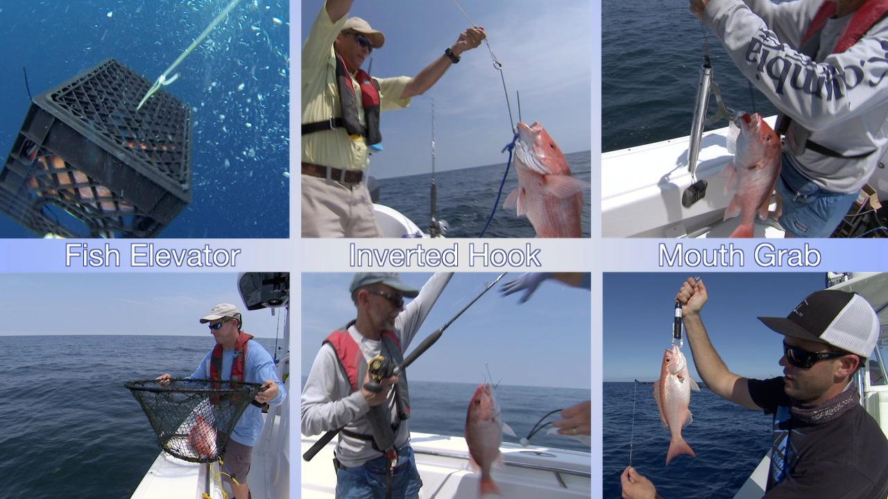 Catch and Release Fishing Best Practices