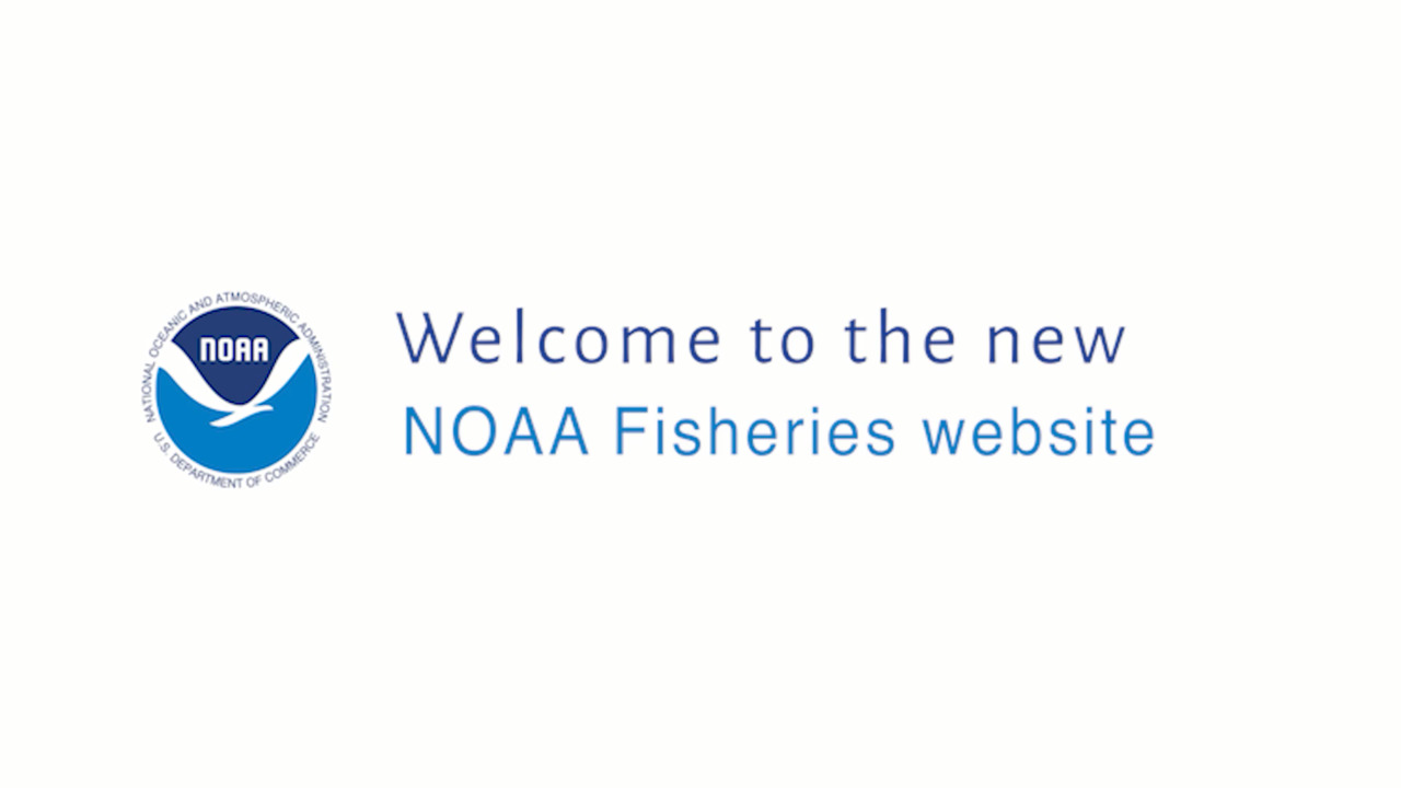 NOAA Fisheries Website Tutorial - About Us - NOAA Fisheries Video Gallery