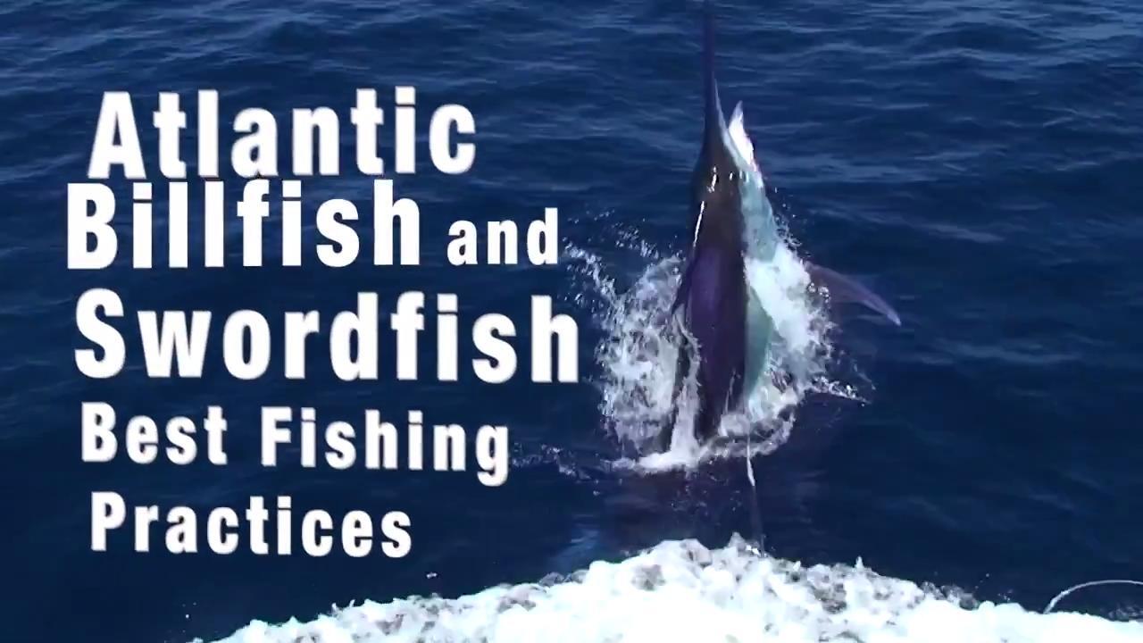 Atlantic Bluefin Tuna Fishing Regulations and Reporting Law