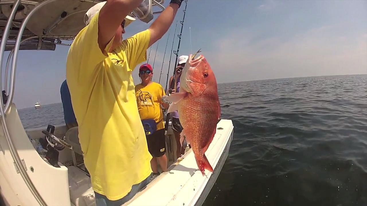 B-Roll: Red Snapper, Recreational Fishing - B-Roll Packages - ALL - NOAA  Fisheries Video Gallery