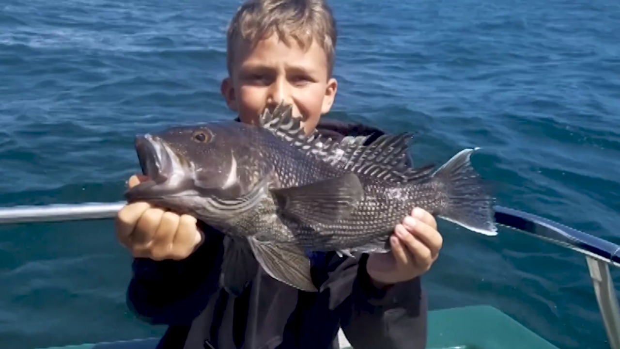 Recreational Saltwater Fishing: Know Before You Go - Recreational Fishing -  NOAA Fisheries Video Gallery