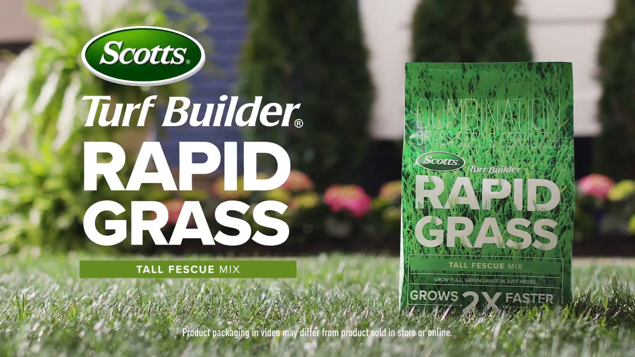 Scotts Turf Builder Rapid Grass Tall Fescue Grass Sun or Shade Grass Seed and Fertilizer 5.6 lb