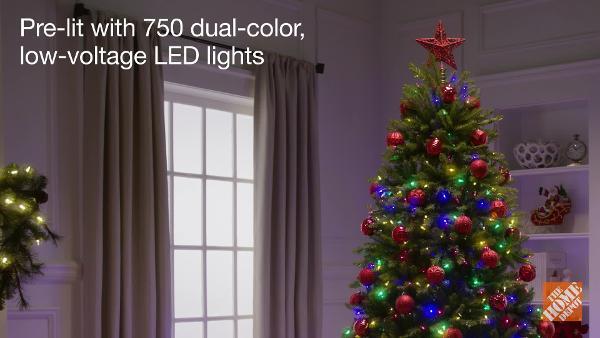 【着用少美品】CAMPER DEAN ブラック 25.5cm＋シューツリーセット Amazon.com: Naomi Home 4.5ft Christmas Tree with Lights, Realistic