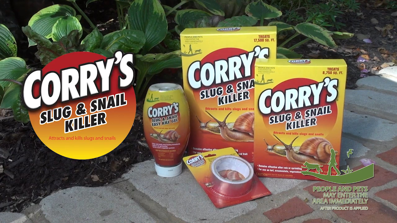 Corry's Slug and Snail Killer 1.75 lb