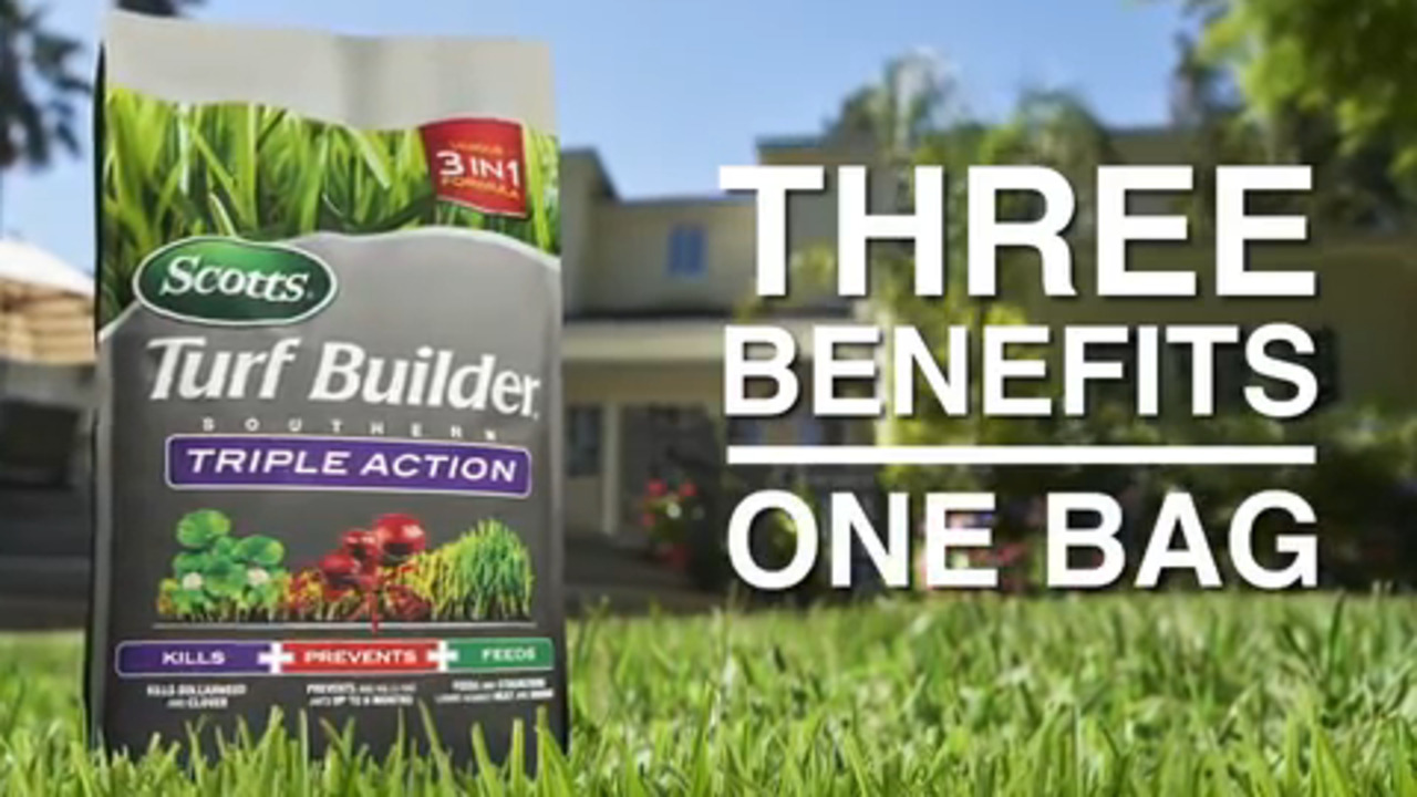 Scotts Turf Builder Southern Triple Action Weed & Feed Lawn Fertilizer For All Grasses 8000 sq ft