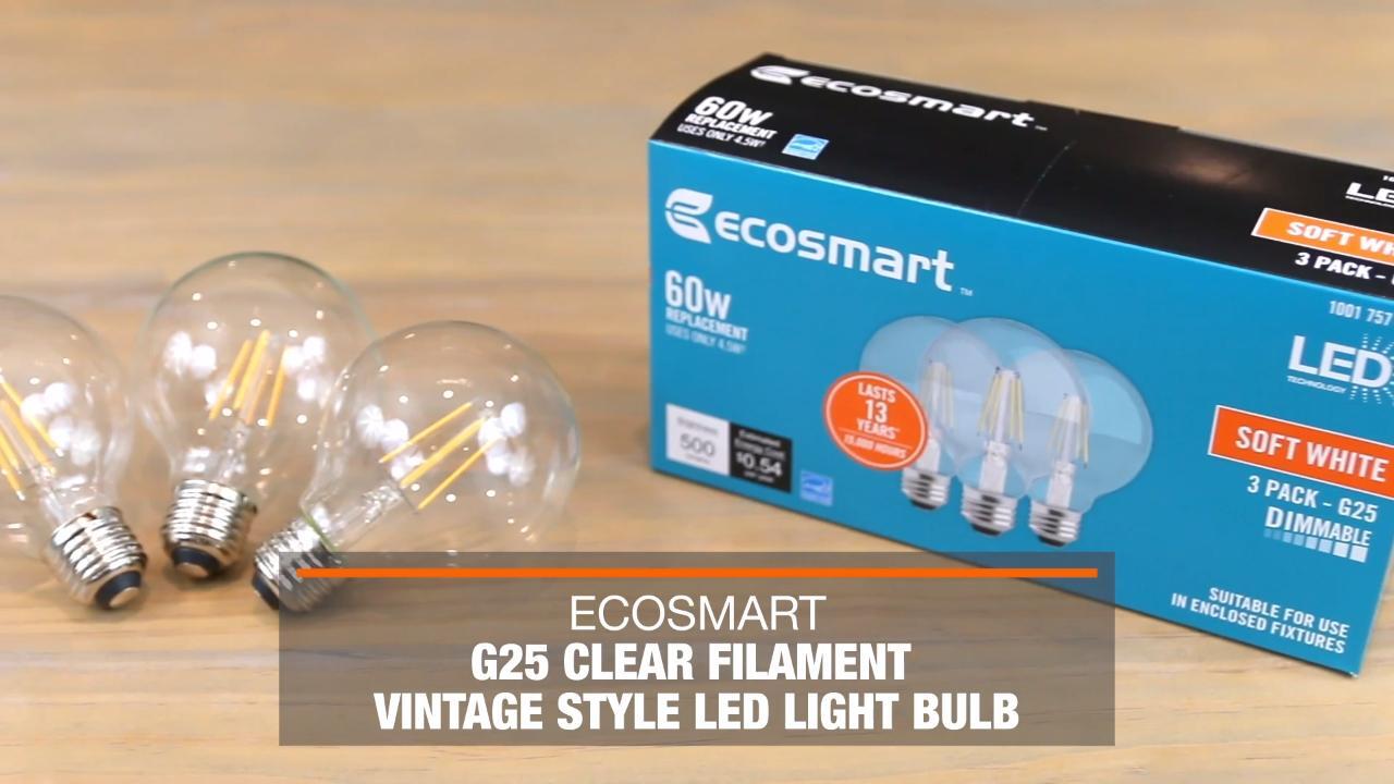60-Watt Equivalent G25 Globe Dimmable ENERGY STAR Clear Glass Filament LED Vintage Edison Light Bulb Daylight (3-Pack)