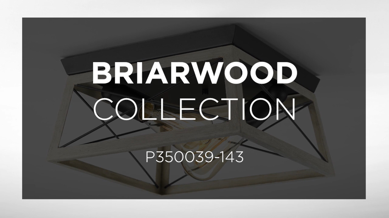 Progress lighting p350022 briarwood deals flush mount light