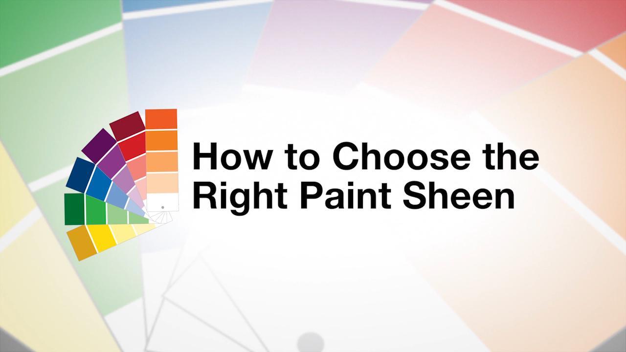Buy Pure White Paint - Flat Matt (Screenshot) – COAT Paints